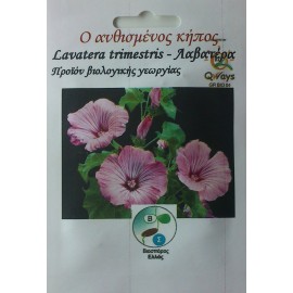 Βιο Lavatera trimestris